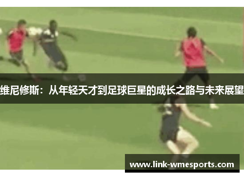 维尼修斯：从年轻天才到足球巨星的成长之路与未来展望