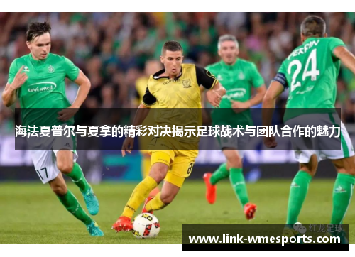 海法夏普尔与夏拿的精彩对决揭示足球战术与团队合作的魅力